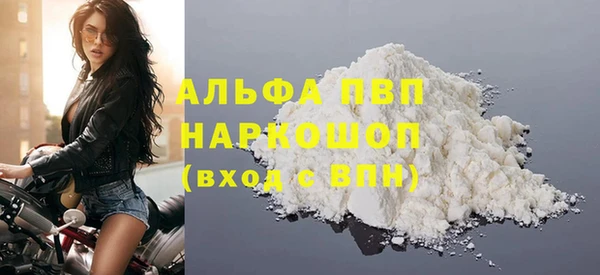 хмурый Абаза