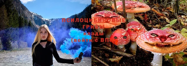 гидра Медвежьегорск