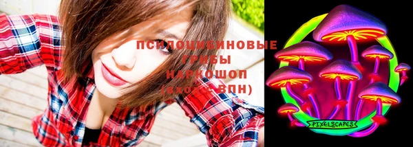 ГАЛЛЮЦИНОГЕННЫЕ ГРИБЫ Абдулино