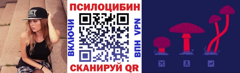 наркошоп  Ивангород  Галлюциногенные грибы мицелий 